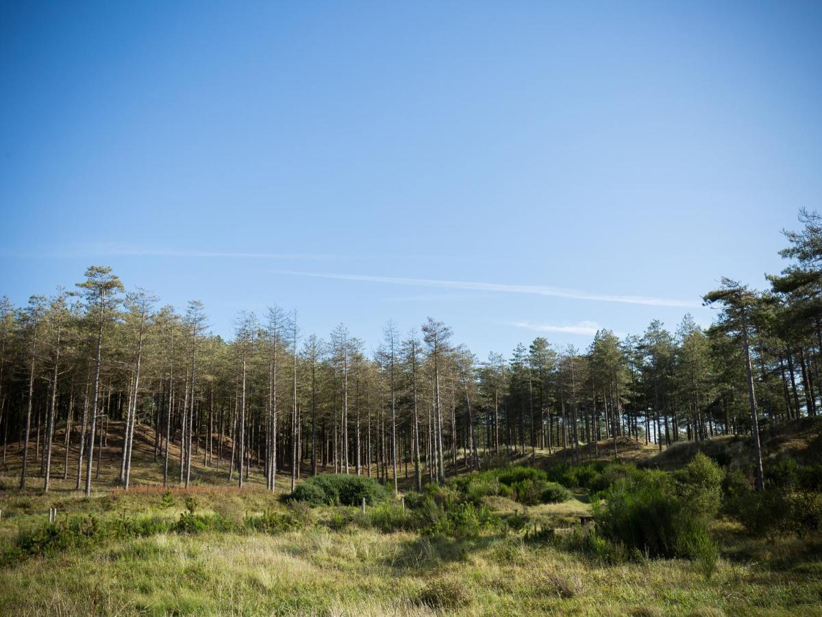 Apartmán Y Goedwig Llanfairpwllgwyngyll Exteriér fotografie